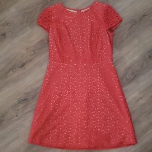 Lace Ann Taylor Loft dress